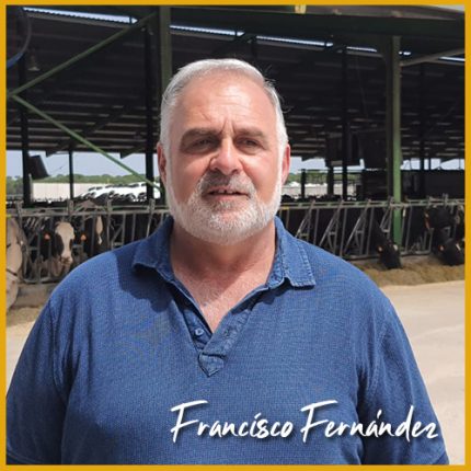Francisco Fernández presidente de Agaprol en una granja de vacas de leche
