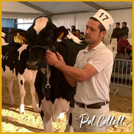 Pol Collell ganadero y juez de Frisona Holstein de vacas lecheras