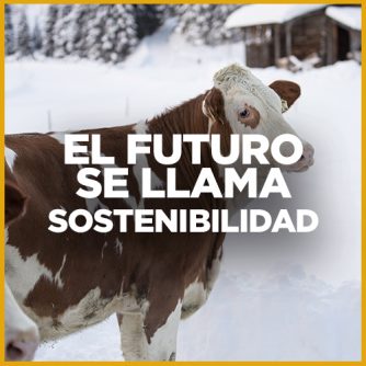 Vaca alpina por la sostenibilidad el Medio Ambiente