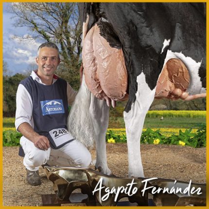 Agapito Fernández SAT Ceceño y su vaca Gran Campeona Frisona