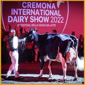 Agapito Fernández y su vaca Gran Campeona Llinde Ariel Jordan