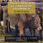 Lonja y mercado de ganado vacuno de Salamanca