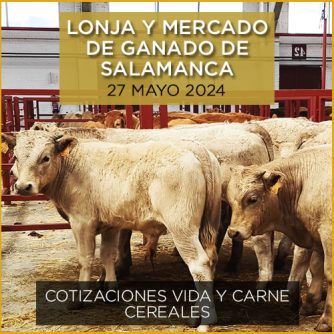 Lonja y mercado ganado vacuno Salamanca 27 mayo 2024