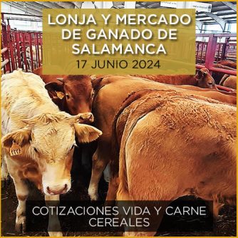 Lonja y mercado terneros y ganado vacuno Salamanca 17 junio 2024