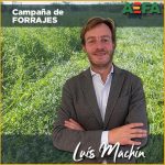 Luis Machín AEFA Forrajes