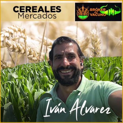 Iván Álvarez de ASEGRAIN entrevista mercados cereales 2024