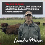 Vacuno Angus en ecológico, carne de ternera Premium