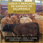 Análisis de la lonja y mercado de ganado de Salamanca 23 de junio de 2025