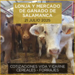 PODCAST con Análisis de la lonja y mercado de ganado VACUNO de Salamanca 21 de julio de 2025