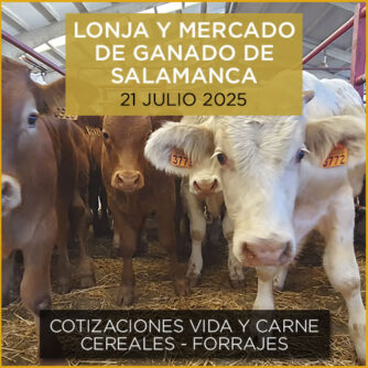 PODCAST con Análisis de la lonja y mercado de ganado VACUNO de Salamanca 21 de julio de 2025