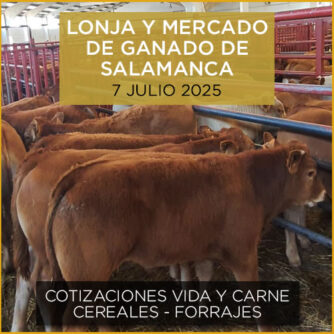 Análisis de la lonja y mercado de ganado vacuno de Salamanca 7 de julio