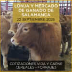 POdcast de análisis de la lonja y mercado de ganado vacuno de Salamanca 22 septiembre 2025