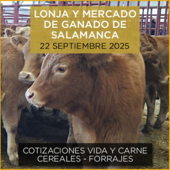 POdcast de análisis de la lonja y mercado de ganado vacuno de Salamanca 22 septiembre 2025