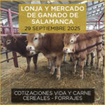 Podcast de análisis de la lonja y el mercado de ganado vacuno de Salamanca del 29 septiembre de 2025