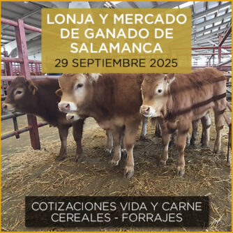 Podcast de análisis de la lonja y el mercado de ganado vacuno de Salamanca del 29 septiembre de 2025