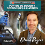 David Reyero de Vetoquinol en el podcast sobre la mastitis en vacuno lechero