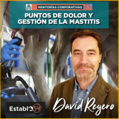 David Reyero de Vetoquinol en el podcast sobre la mastitis en vacuno lechero