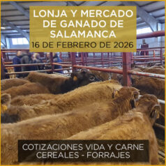 Análisis de la lonja y mercado de ganado de Salamanca 16 de febrero de 2026