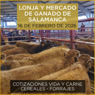 Análisis de la lonja y mercado de ganado de Salamanca 16 de febrero de 2026