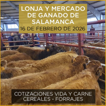 Análisis de la lonja y mercado de ganado de Salamanca 16 de febrero de 2026