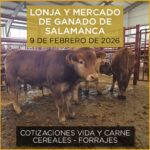 Análisis de la lonja y mercado de ganado vacuno de Salamanca 9 de febrero de 2026