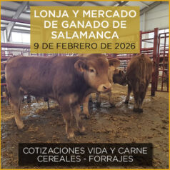 Análisis de la lonja y mercado de ganado vacuno de Salamanca 9 de febrero de 2026