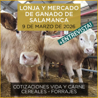 Análisis de la lonja y mercado de ganado vacuno de Salamanca 9 de marzo de 2026